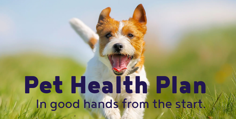 Pet Health Plan