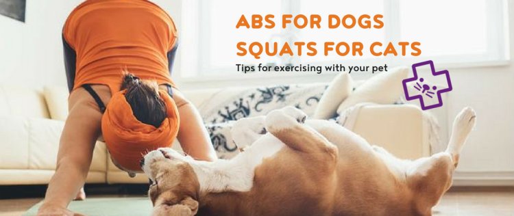 how to exercise with your pet