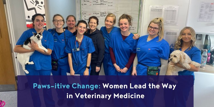 women in veterinary, international womens day 