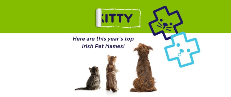  Irish Pet Names