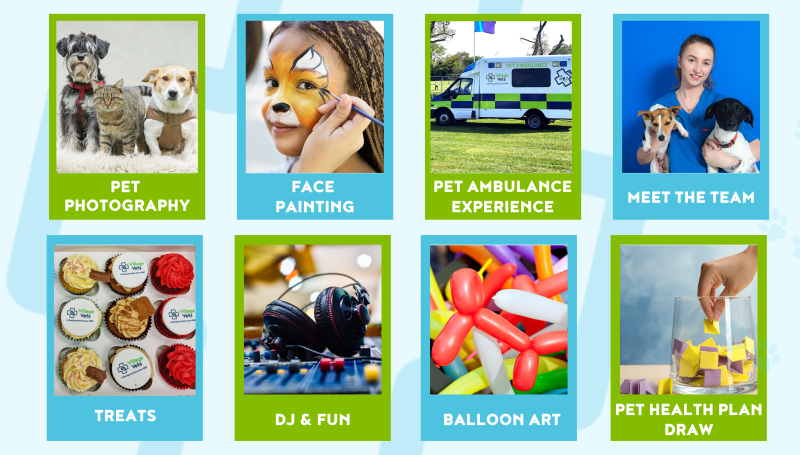 free event, kids event, facepainting, dunshaughlin, meath events