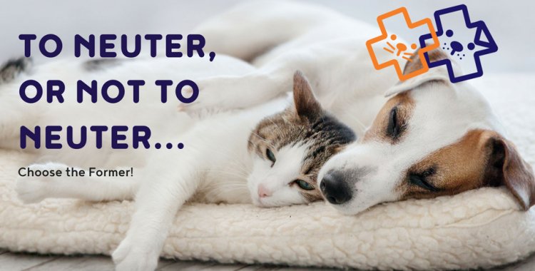 To Neuter, or not to Neuter Choose 