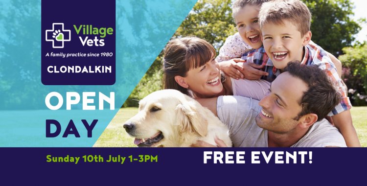 clondalkin open day, things to do with kids
