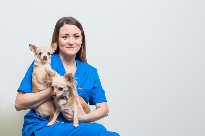 Tracey Mc Geehan Veterinary Nurse