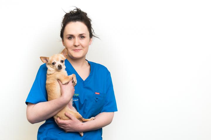 Holly Callaghan veterinary nurse, vet dublin, vet clonsilla