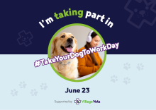 Take your dog to work day A4 poster